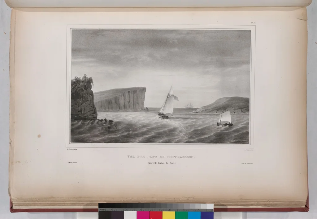An illustration from Voyage de la corvette l'Astrolabe exécuté par ordre du roi, pendant les années 1826-1827-1828-1829, sous le commandement de M. J. Dumont d'Urville, 1830, leaf 41