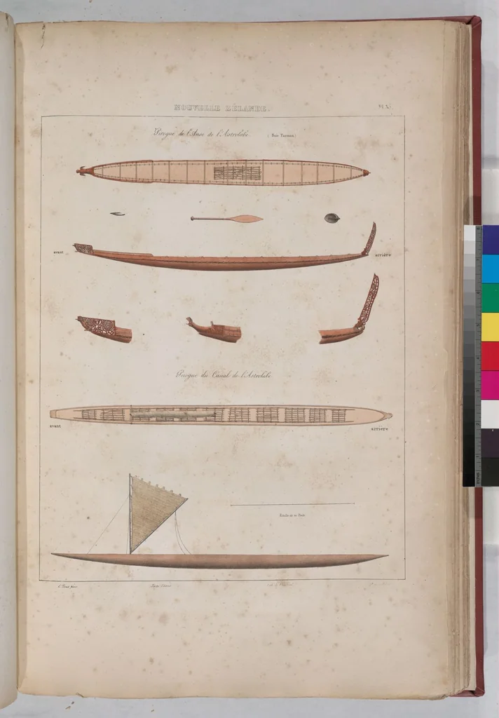An illustration from Voyage de la corvette l'Astrolabe exécuté par ordre du roi, pendant les années 1826-1827-1828-1829, sous le commandement de M. J. Dumont d'Urville, 1830, leaf 45