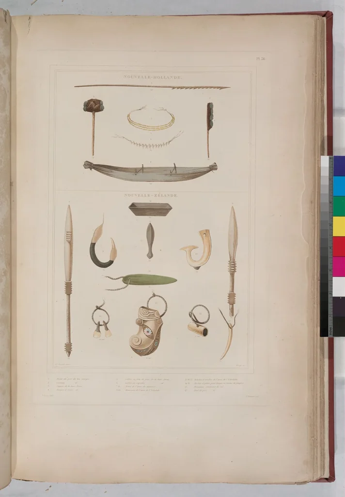 An illustration from Voyage de la corvette l'Astrolabe exécuté par ordre du roi, pendant les années 1826-1827-1828-1829, sous le commandement de M. J. Dumont d'Urville, 1830, leaf 46