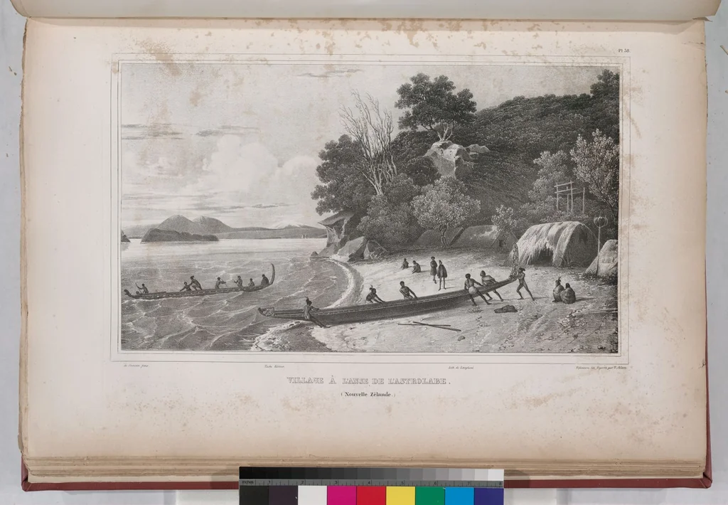 An illustration from Voyage de la corvette l'Astrolabe exécuté par ordre du roi, pendant les années 1826-1827-1828-1829, sous le commandement de M. J. Dumont d'Urville, 1830, leaf 48