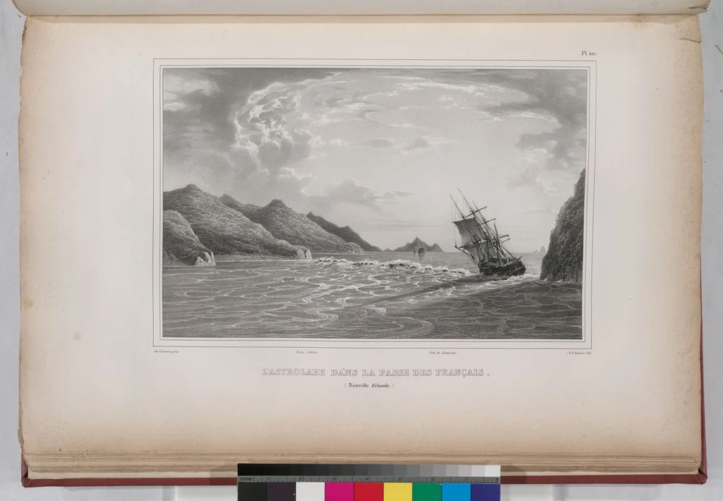 An illustration from Voyage de la corvette l'Astrolabe exécuté par ordre du roi, pendant les années 1826-1827-1828-1829, sous le commandement de M. J. Dumont d'Urville, 1830, leaf 50