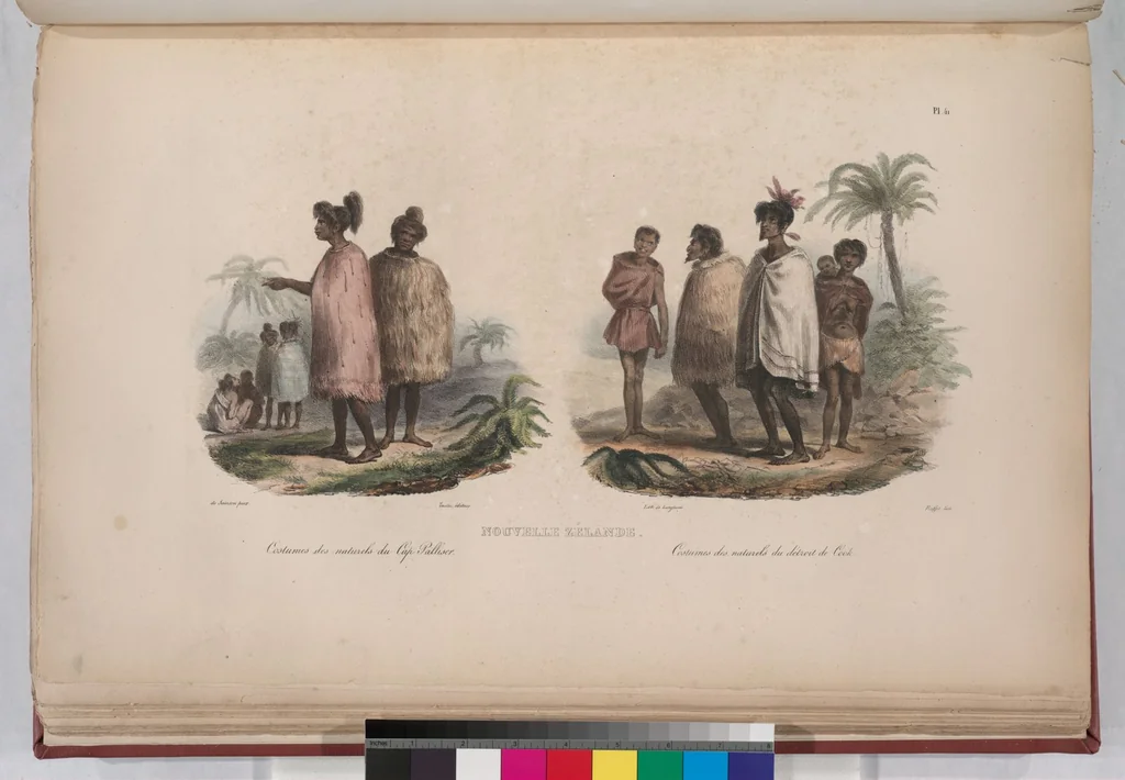 An illustration from Voyage de la corvette l'Astrolabe exécuté par ordre du roi, pendant les années 1826-1827-1828-1829, sous le commandement de M. J. Dumont d'Urville, 1830, leaf 51