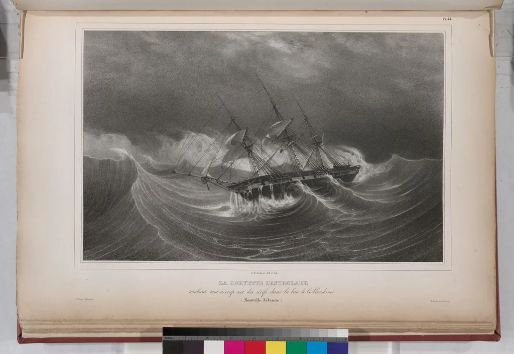 An illustration from Voyage de la corvette l'Astrolabe exécuté par ordre du roi, pendant les années 1826-1827-1828-1829, sous le commandement de M. J. Dumont d'Urville, 1830, leaf 54