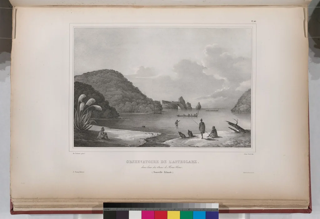 An illustration from Voyage de la corvette l'Astrolabe exécuté par ordre du roi, pendant les années 1826-1827-1828-1829, sous le commandement de M. J. Dumont d'Urville, 1830, leaf 56