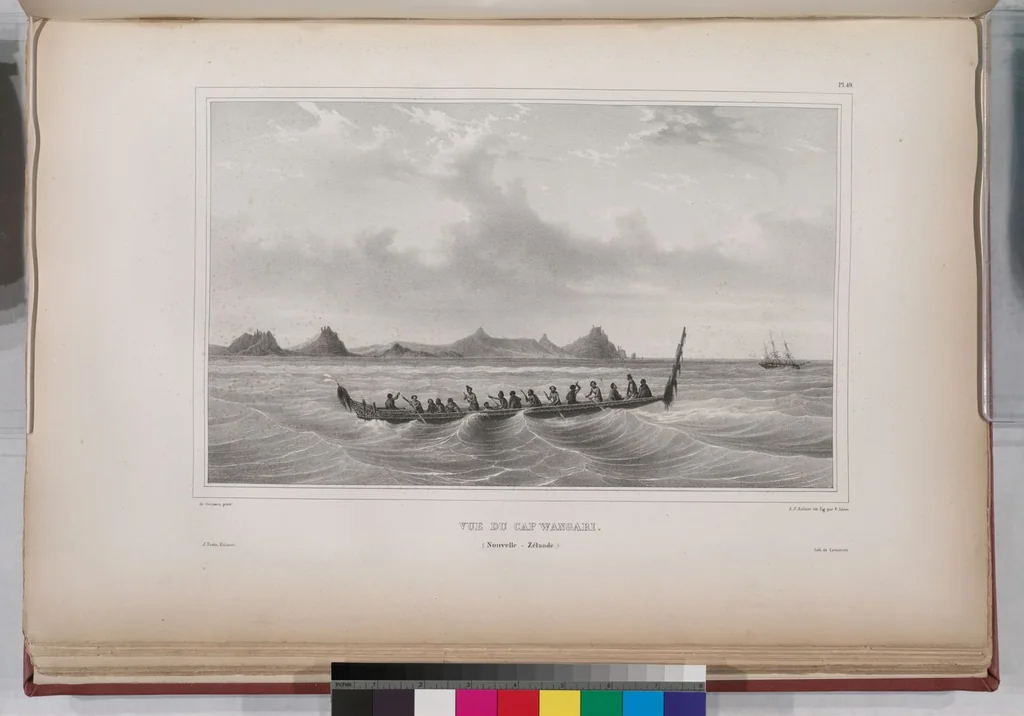 An illustration from Voyage de la corvette l'Astrolabe exécuté par ordre du roi, pendant les années 1826-1827-1828-1829, sous le commandement de M. J. Dumont d'Urville, 1830, leaf 59
