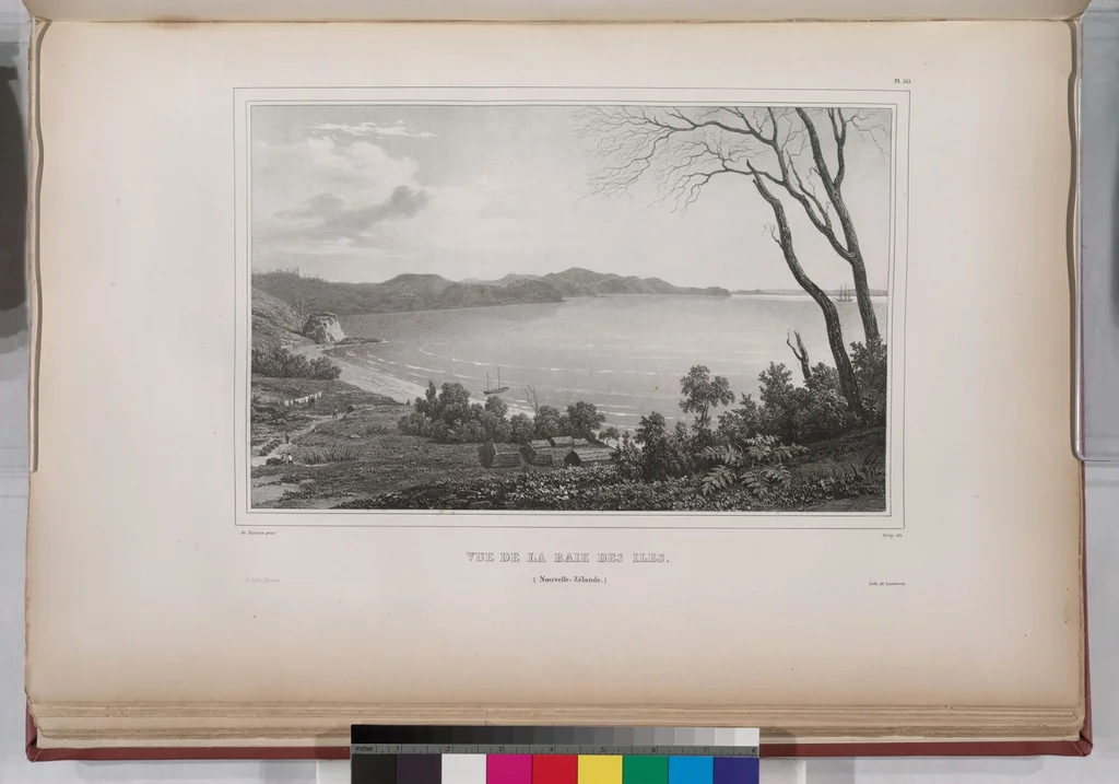 An illustration from Voyage de la corvette l'Astrolabe exécuté par ordre du roi, pendant les années 1826-1827-1828-1829, sous le commandement de M. J. Dumont d'Urville, 1830, leaf 60