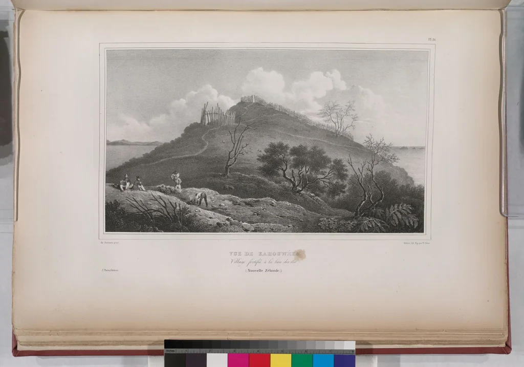 An illustration from Voyage de la corvette l'Astrolabe exécuté par ordre du roi, pendant les années 1826-1827-1828-1829, sous le commandement de M. J. Dumont d'Urville, 1830, leaf 61