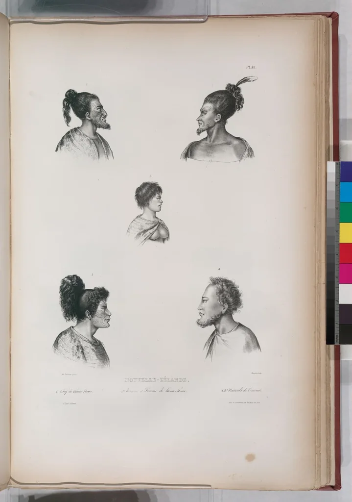 An illustration from Voyage de la corvette l'Astrolabe exécuté par ordre du roi, pendant les années 1826-1827-1828-1829, sous le commandement de M. J. Dumont d'Urville, 1830, leaf 63