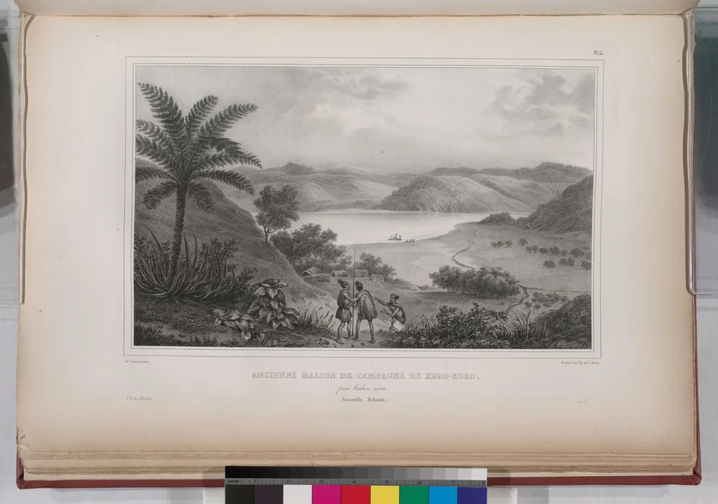 An illustration from Voyage de la corvette l'Astrolabe exécuté par ordre du roi, pendant les années 1826-1827-1828-1829, sous le commandement de M. J. Dumont d'Urville, 1830, leaf 65