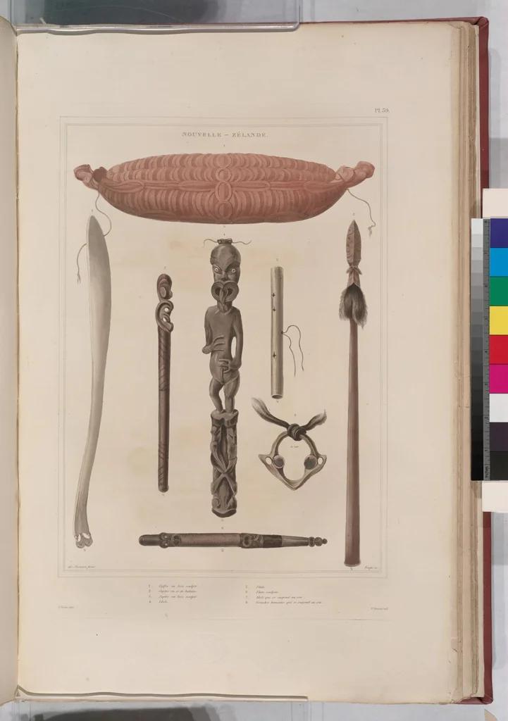 An illustration from Voyage de la corvette l'Astrolabe exécuté par ordre du roi, pendant les années 1826-1827-1828-1829, sous le commandement de M. J. Dumont d'Urville, 1830, leaf 69