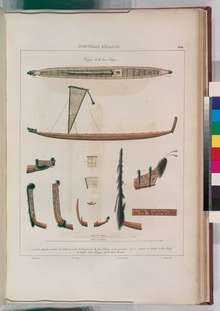 An illustration from Voyage de la corvette l'Astrolabe exécuté par ordre du roi, pendant les années 1826-1827-1828-1829, sous le commandement de M. J. Dumont d'Urville, 1830, leaf 70