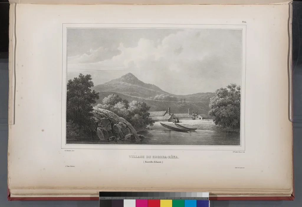 An illustration from Voyage de la corvette l'Astrolabe exécuté par ordre du roi, pendant les années 1826-1827-1828-1829, sous le commandement de M. J. Dumont d'Urville, 1830, leaf 71