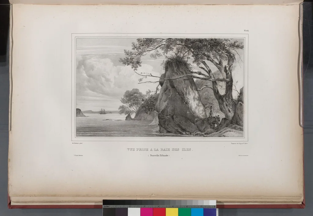 An illustration from Voyage de la corvette l'Astrolabe exécuté par ordre du roi, pendant les années 1826-1827-1828-1829, sous le commandement de M. J. Dumont d'Urville, 1830, leaf 72
