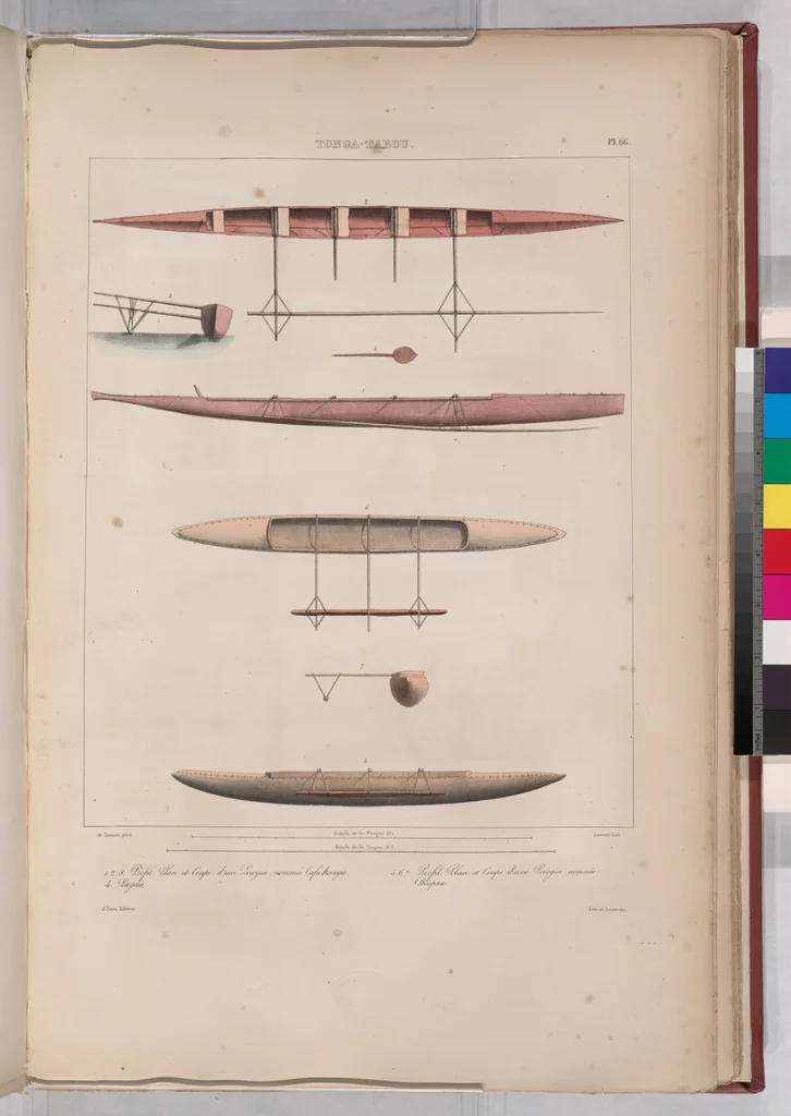 An illustration from Voyage de la corvette l'Astrolabe exécuté par ordre du roi, pendant les années 1826-1827-1828-1829, sous le commandement de M. J. Dumont d'Urville, 1830, leaf 76