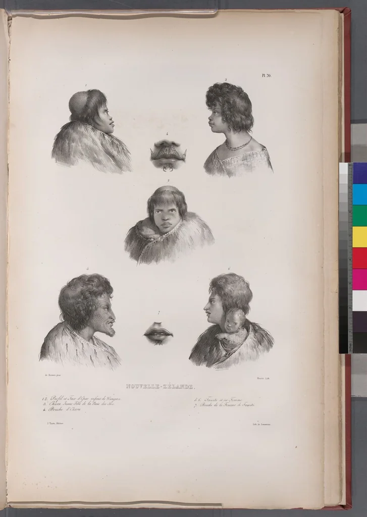An illustration from Voyage de la corvette l'Astrolabe exécuté par ordre du roi, pendant les années 1826-1827-1828-1829, sous le commandement de M. J. Dumont d'Urville, 1830, leaf 80