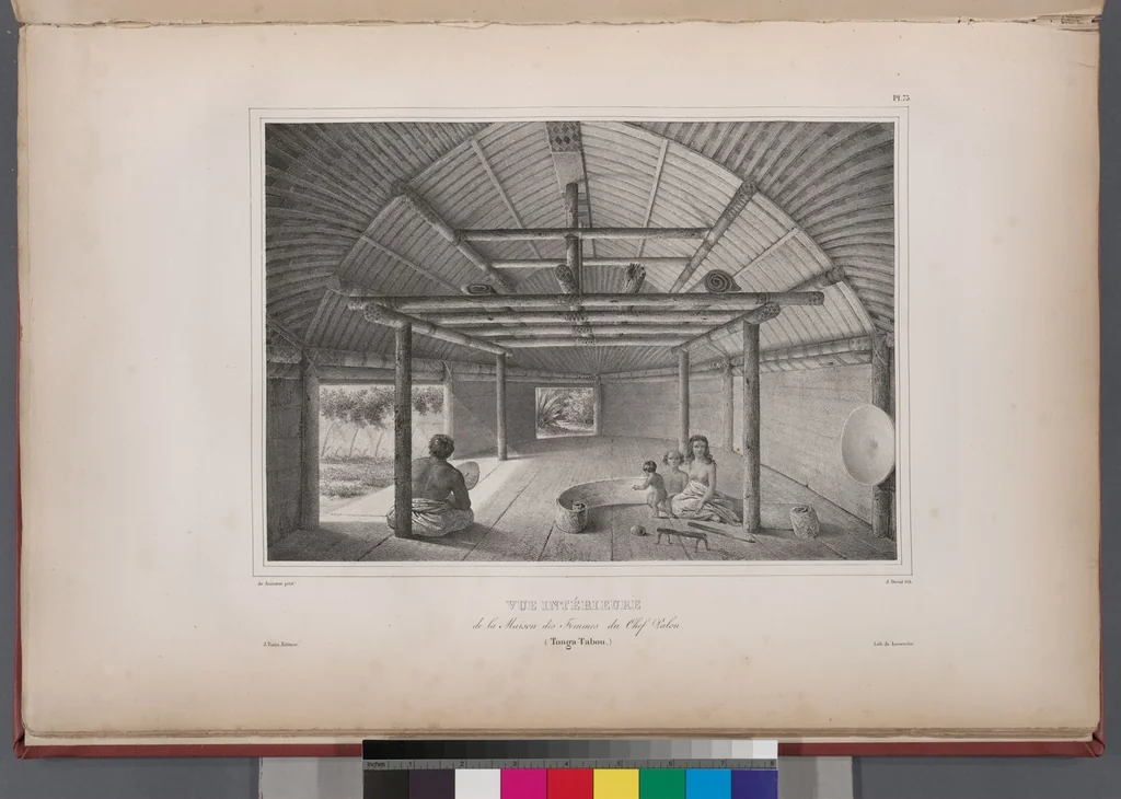 An illustration from Voyage de la corvette l'Astrolabe exécuté par ordre du roi, pendant les années 1826-1827-1828-1829, sous le commandement de M. J. Dumont d'Urville, 1830, leaf 83