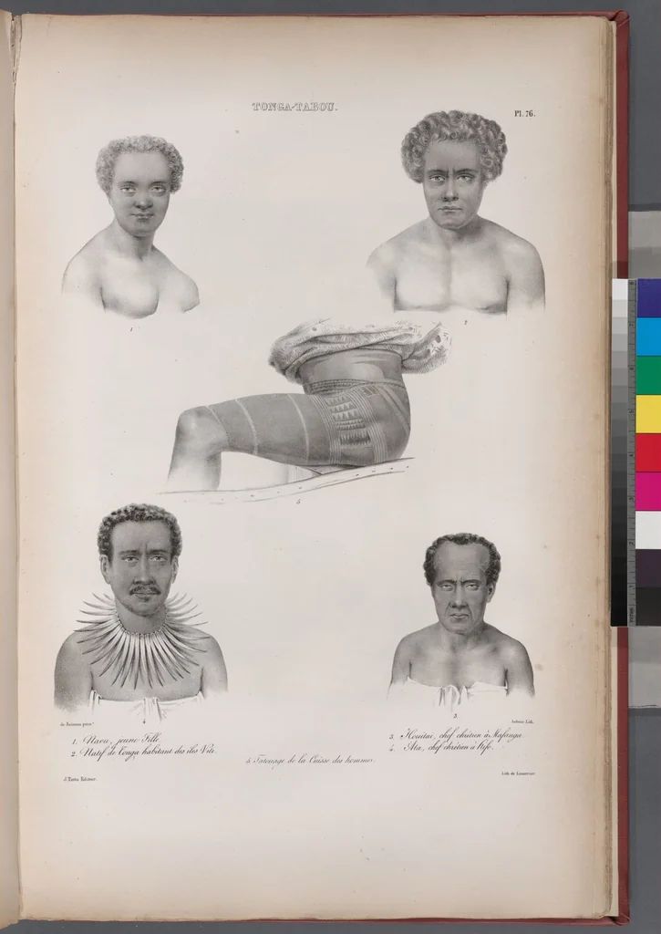 An illustration from Voyage de la corvette l'Astrolabe exécuté par ordre du roi, pendant les années 1826-1827-1828-1829, sous le commandement de M. J. Dumont d'Urville, 1830, leaf 86
