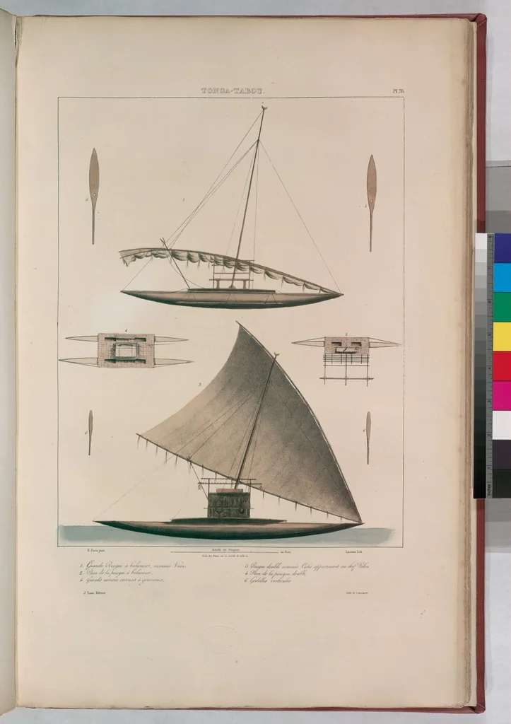 An illustration from Voyage de la corvette l'Astrolabe exécuté par ordre du roi, pendant les années 1826-1827-1828-1829, sous le commandement de M. J. Dumont d'Urville, 1830, leaf 88