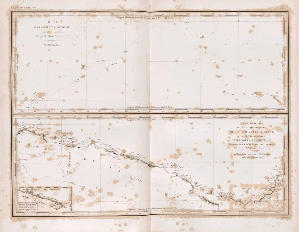 An illustration from Voyage de la corvette l'Astrolabe exécuté par ordre du roi, pendant les années 1826-1827-1828-1829, sous le commandement de M. J. Dumont d'Urville, 1830, leaf 9