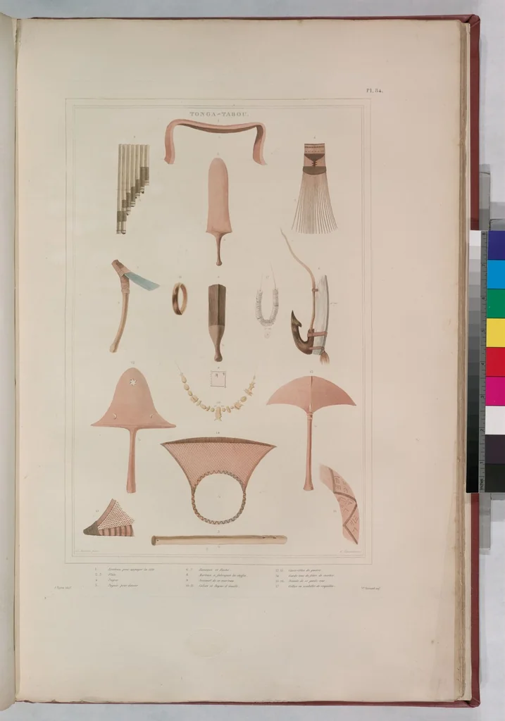An illustration from Voyage de la corvette l'Astrolabe exécuté par ordre du roi, pendant les années 1826-1827-1828-1829, sous le commandement de M. J. Dumont d'Urville, 1830, leaf 94
