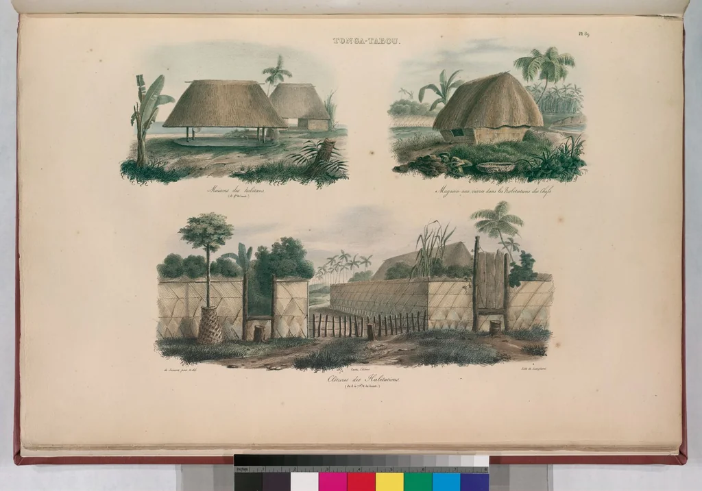 An illustration from Voyage de la corvette l'Astrolabe exécuté par ordre du roi, pendant les années 1826-1827-1828-1829, sous le commandement de M. J. Dumont d'Urville, 1830, leaf 99