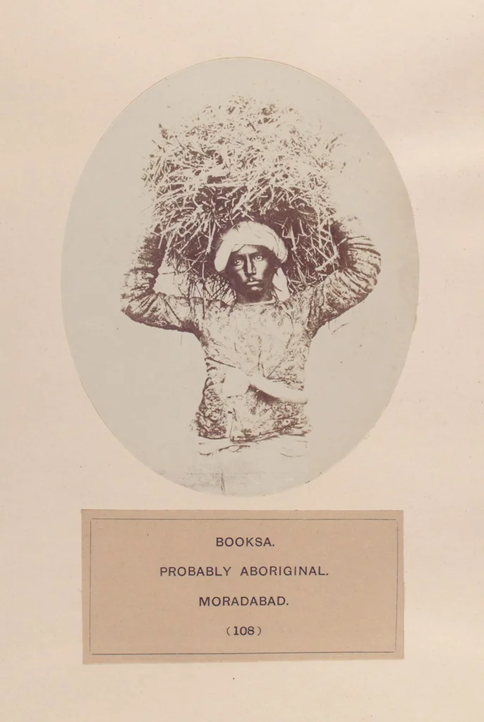 An illustration from The people of India : A series of photographic illustrations, with descriptive letterpress, of the races and tribes of Hindustan, originally prepared under the authority of the government of India, and reproduced, 1868, leaf 114