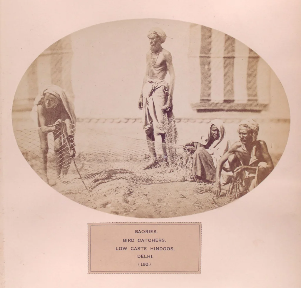 An illustration from The people of India : A series of photographic illustrations, with descriptive letterpress, of the races and tribes of Hindustan, originally prepared under the authority of the government of India, and reproduced, 1868, leaf 198