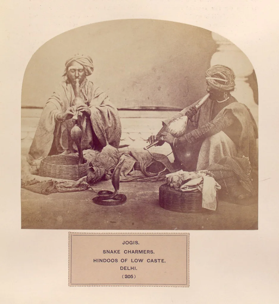 An illustration from The people of India : A series of photographic illustrations, with descriptive letterpress, of the races and tribes of Hindustan, originally prepared under the authority of the government of India, and reproduced, 1868, leaf 213