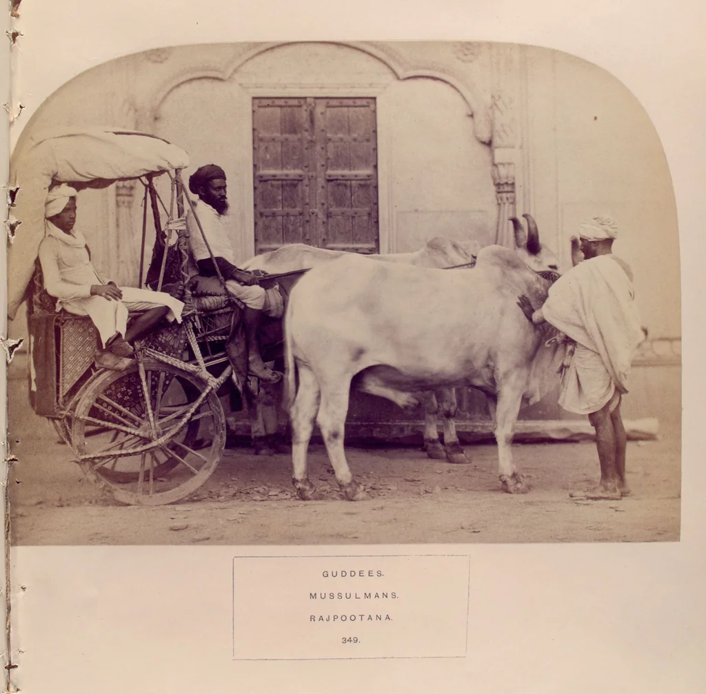 An illustration from The people of India : A series of photographic illustrations, with descriptive letterpress, of the races and tribes of Hindustan, originally prepared under the authority of the government of India, and reproduced, 1868, leaf 366