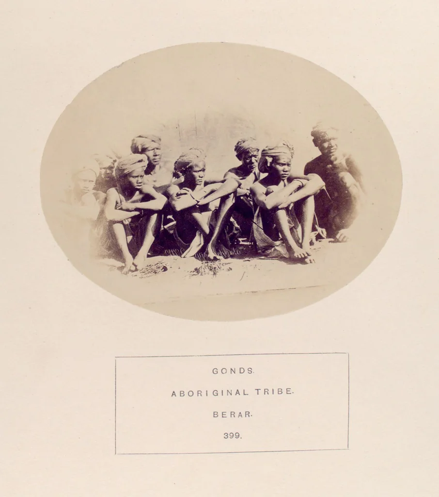 An illustration from The people of India : A series of photographic illustrations, with descriptive letterpress, of the races and tribes of Hindustan, originally prepared under the authority of the government of India, and reproduced, 1868, leaf 416
