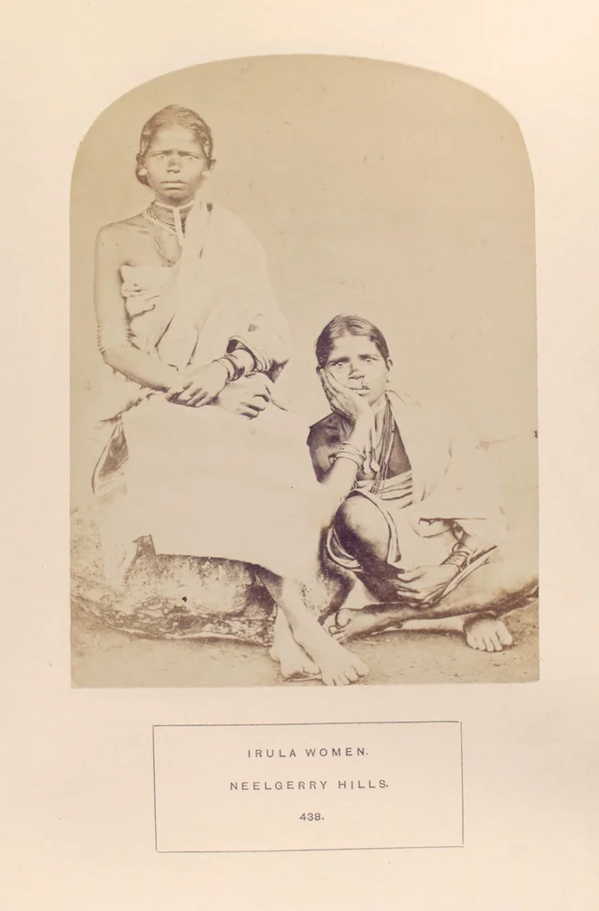 An illustration from The people of India : A series of photographic illustrations, with descriptive letterpress, of the races and tribes of Hindustan, originally prepared under the authority of the government of India, and reproduced, 1868, leaf 456