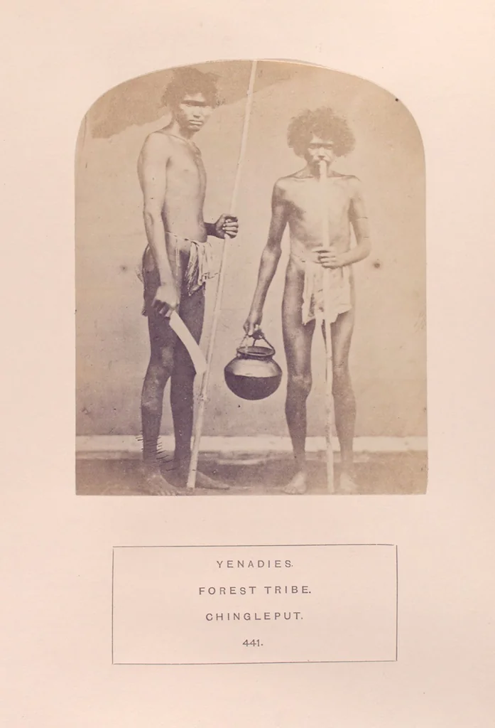 An illustration from The people of India : A series of photographic illustrations, with descriptive letterpress, of the races and tribes of Hindustan, originally prepared under the authority of the government of India, and reproduced, 1868, leaf 459