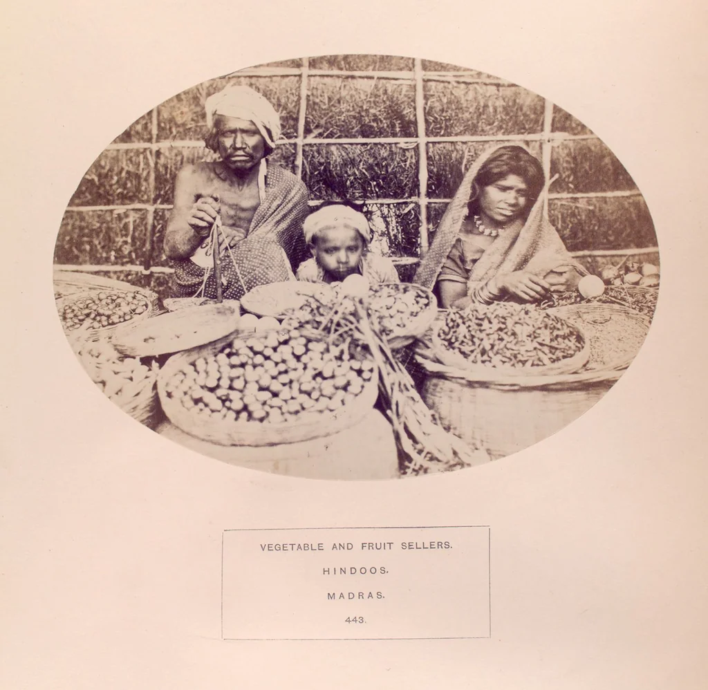 An illustration from The people of India : A series of photographic illustrations, with descriptive letterpress, of the races and tribes of Hindustan, originally prepared under the authority of the government of India, and reproduced, 1868, leaf 461