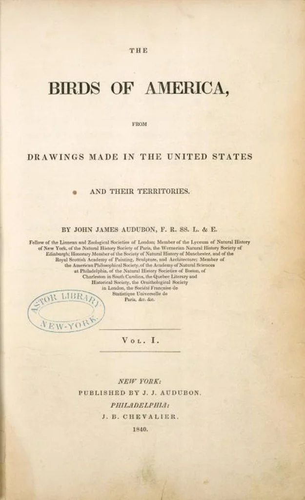 An illustration from The birds of America, from drawings made in the United States and their territories. By John James Audubon, 1840, leaf 1