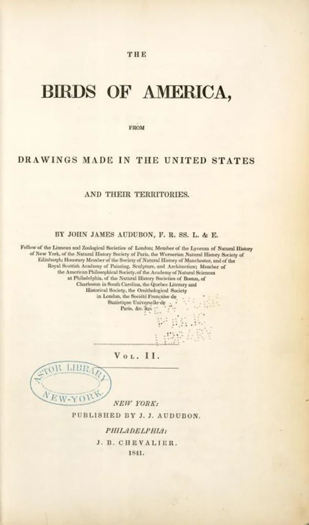 An illustration from The birds of America, from drawings made in the United States and their territories. By John James Audubon, 1840, leaf 71