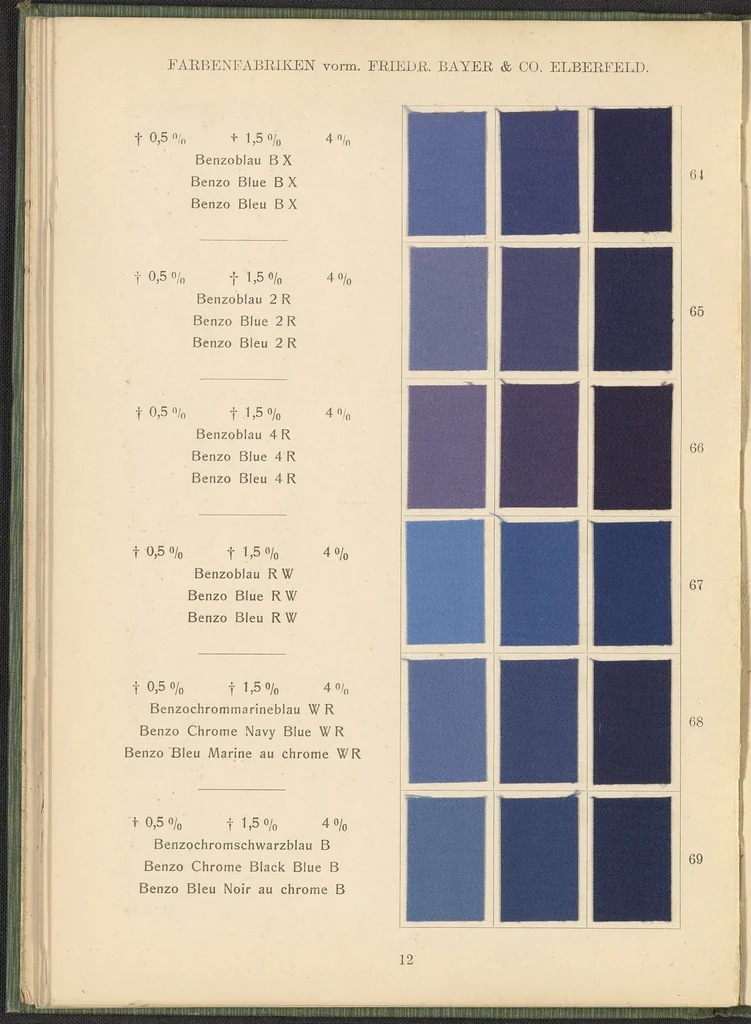 An illustration from Benzidinfarben auf Baumwollstückware, 1901, leaf 22