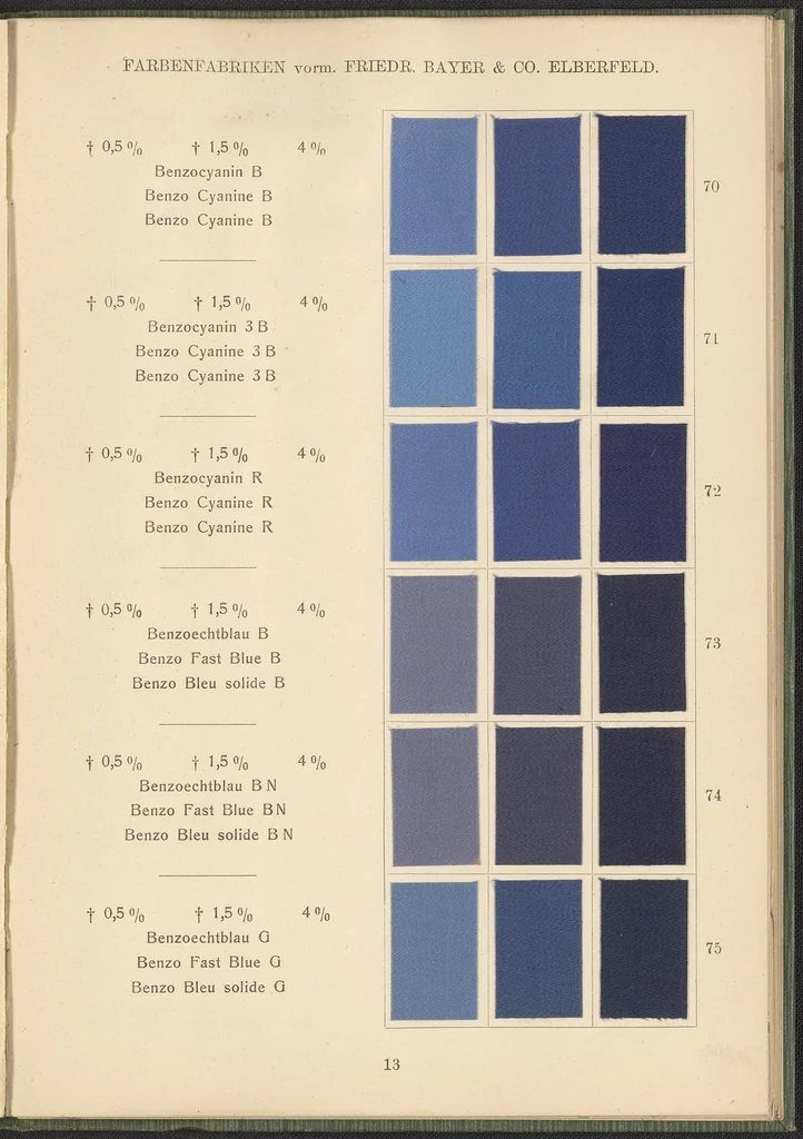 An illustration from Benzidinfarben auf Baumwollstückware, 1901, leaf 23