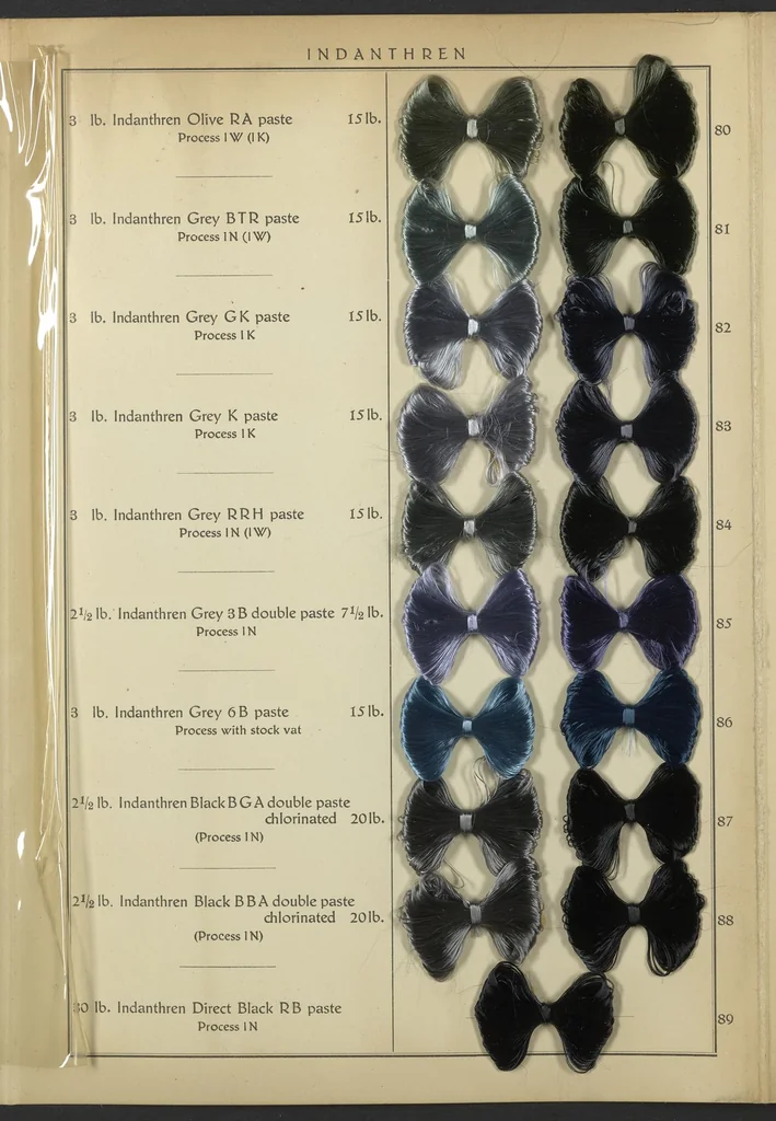 An illustration from Indanthren Dyeings on Rayon (Viscose) Yarn, 1920, leaf 11