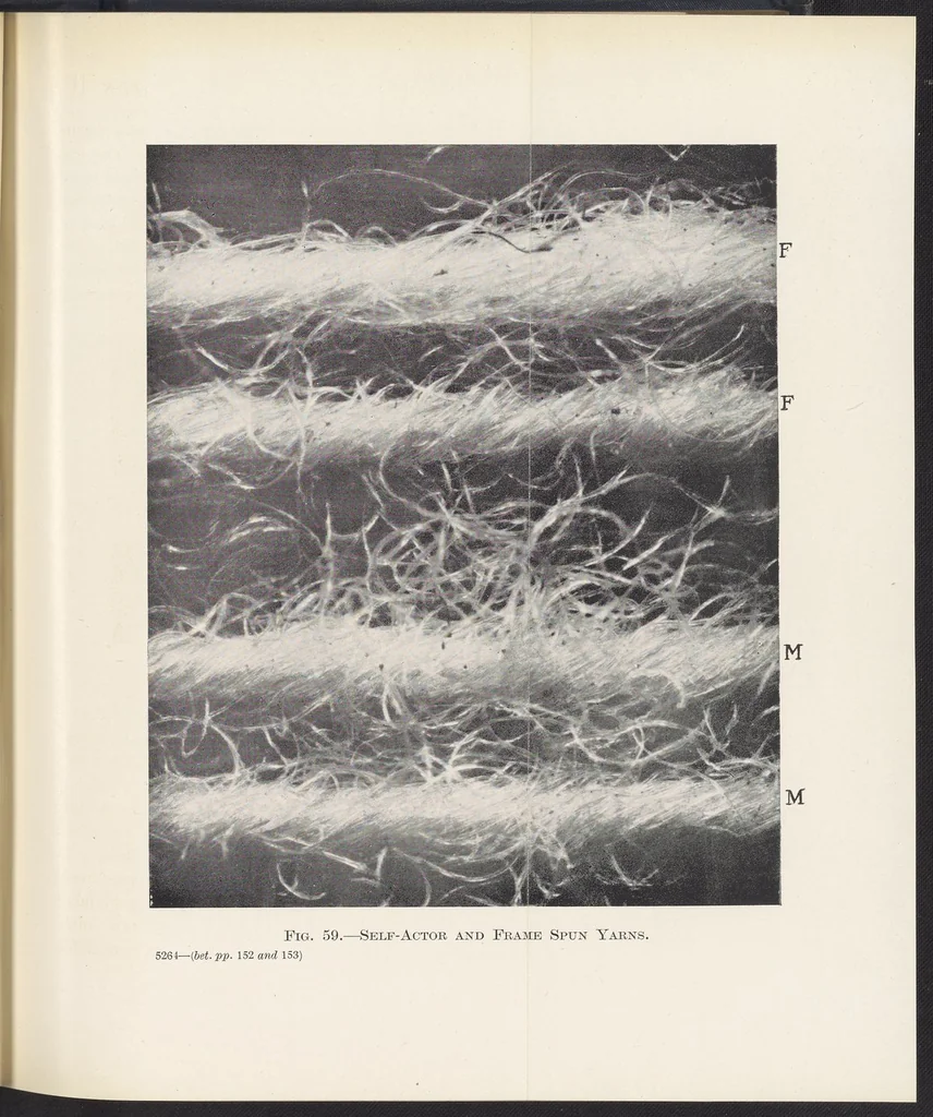An illustration from Dress, Blouse, and Costume Cloths, Design and Fabric Manufacture, 1921, leaf 34