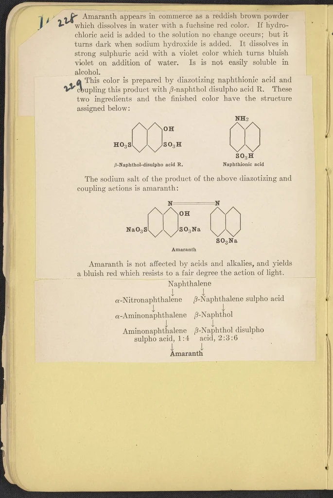 An illustration from The Seven Food Colors, 1907, leaf 40