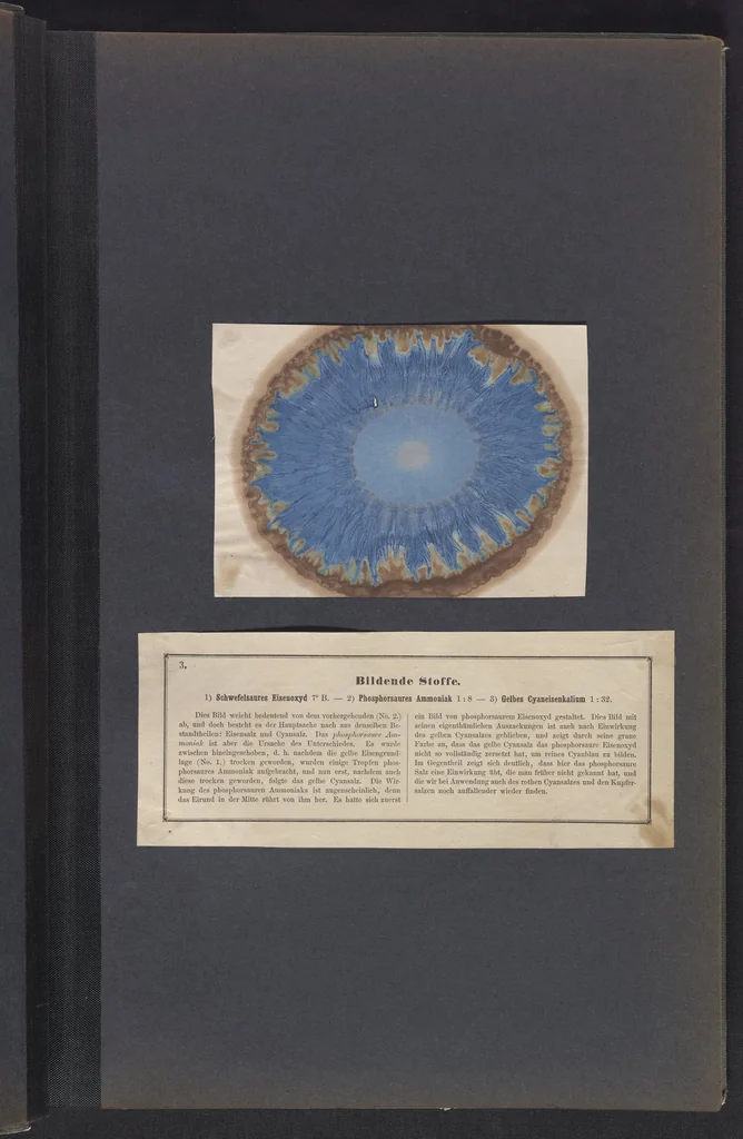 An illustration from Der Bildungstrieb der Stoffe, 1858, leaf 11