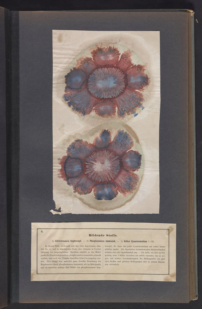 An illustration from Der Bildungstrieb der Stoffe, 1858, leaf 17