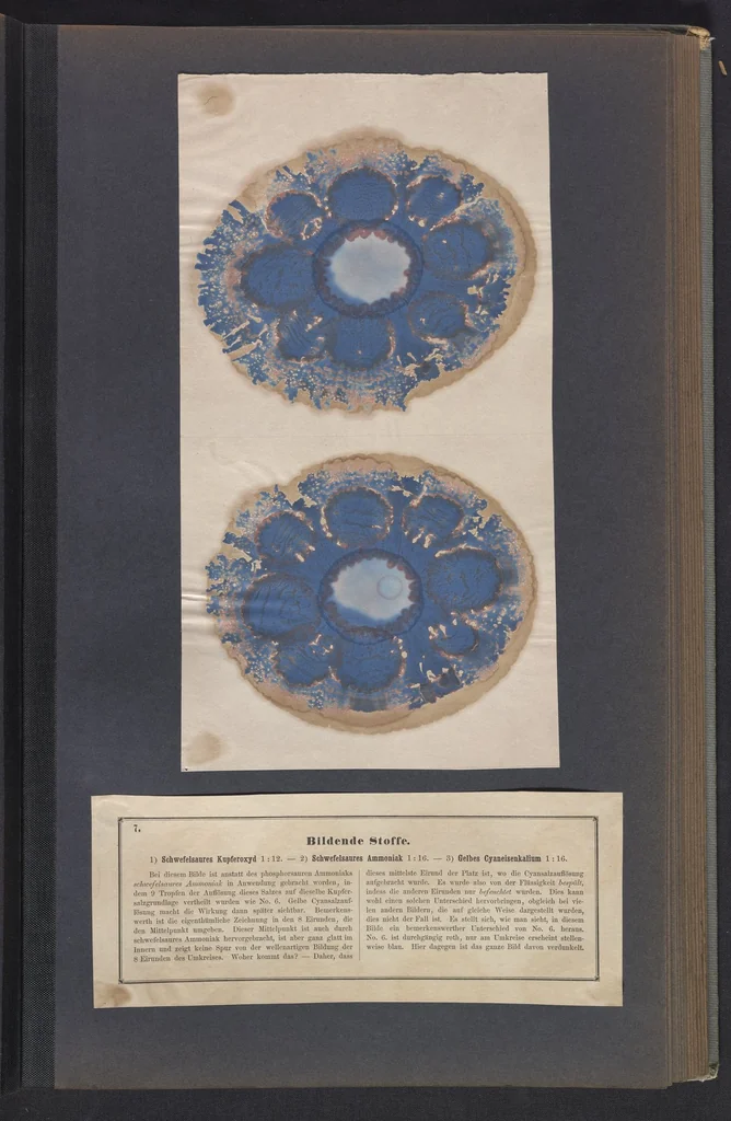An illustration from Der Bildungstrieb der Stoffe, 1858, leaf 19