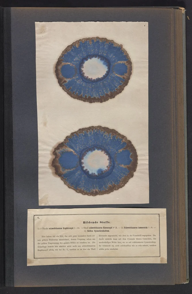 An illustration from Der Bildungstrieb der Stoffe, 1858, leaf 21