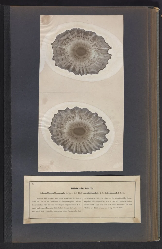 An illustration from Der Bildungstrieb der Stoffe, 1858, leaf 23