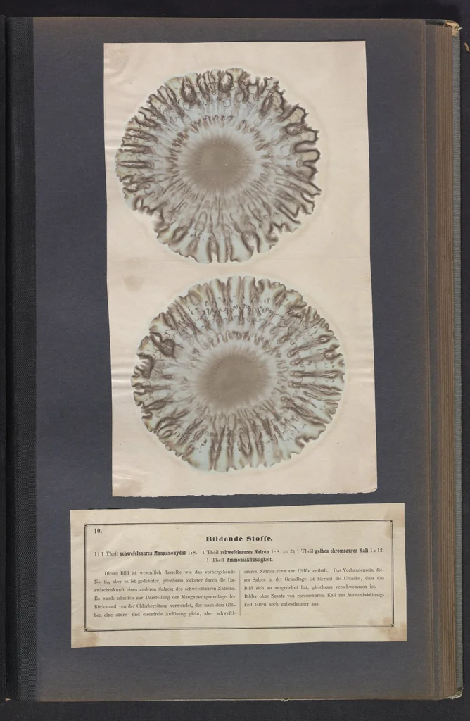 An illustration from Der Bildungstrieb der Stoffe, 1858, leaf 25
