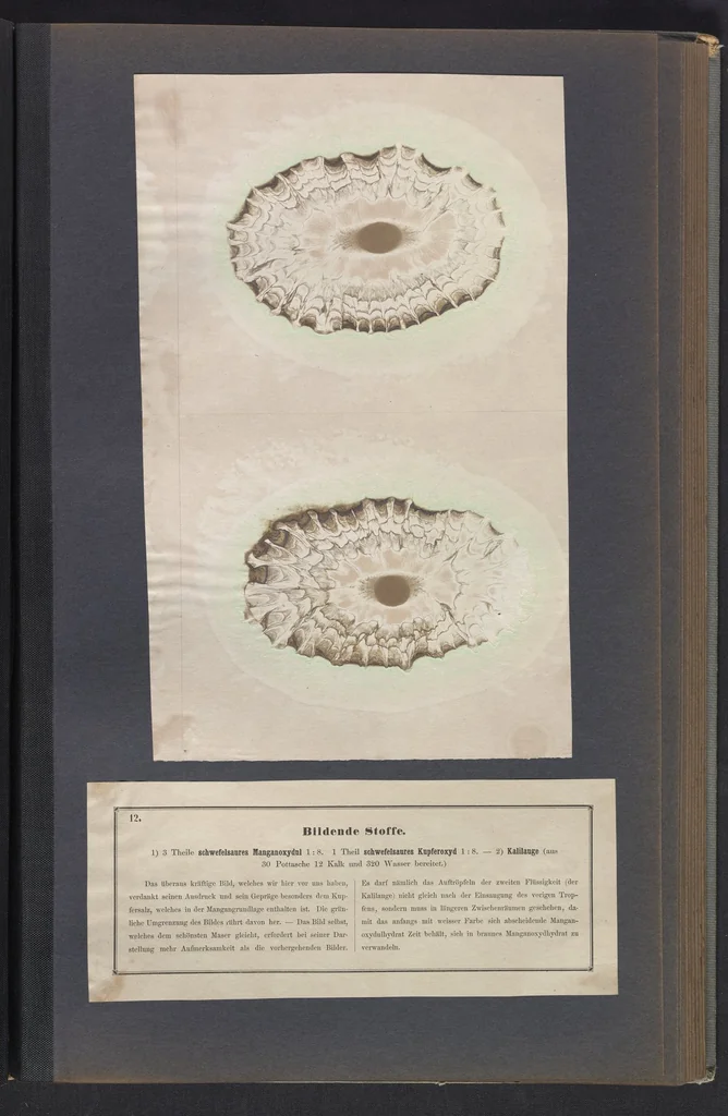 An illustration from Der Bildungstrieb der Stoffe, 1858, leaf 29