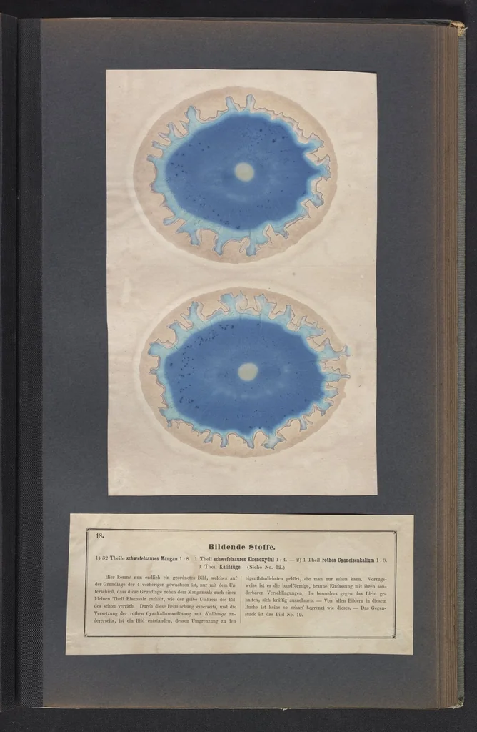 An illustration from Der Bildungstrieb der Stoffe, 1858, leaf 41