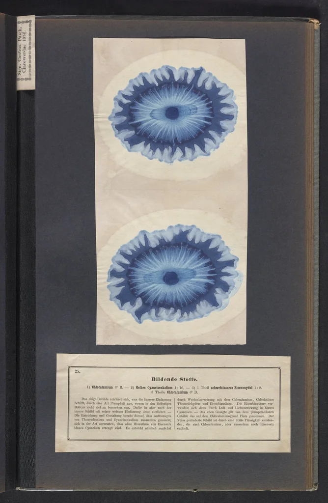 An illustration from Der Bildungstrieb der Stoffe, 1858, leaf 55