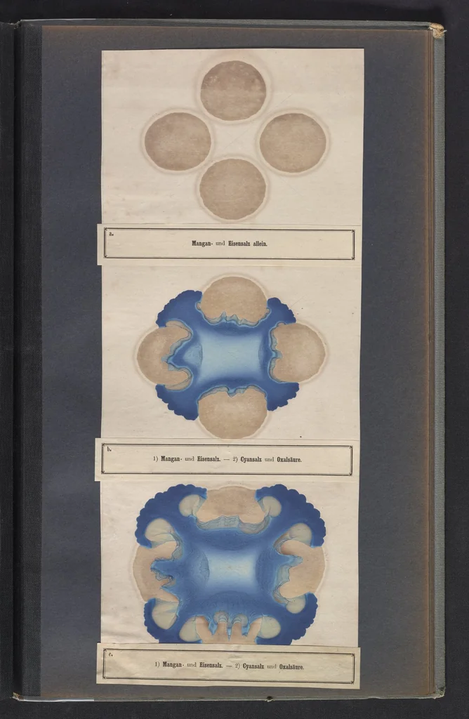 An illustration from Der Bildungstrieb der Stoffe, 1858, leaf 69